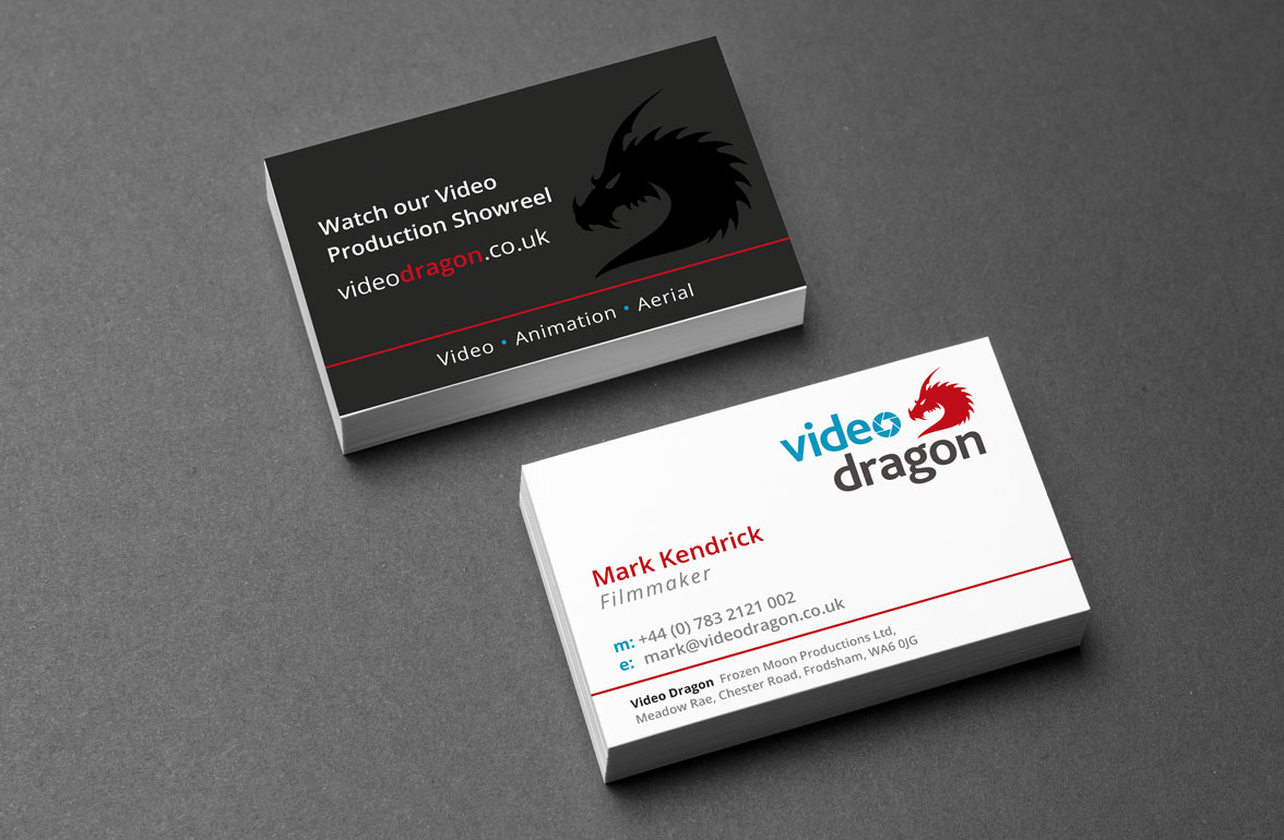 Video Dragon Branding